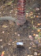 11.06.05 Wildwood Trail 010 